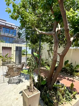 Дом, 150 м², Район Коупмарта, Нячанг